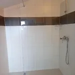 House *